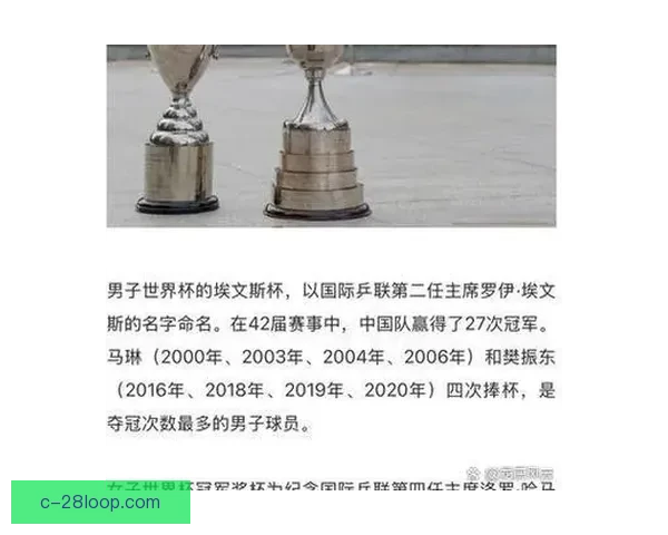 2026世界杯组委会宣布赛事期间全球媒体将享受免费宽带服务